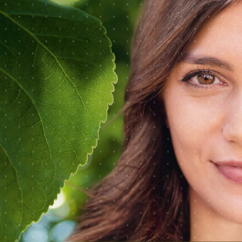 Polysaccharides, Résines et Flavonoïdes